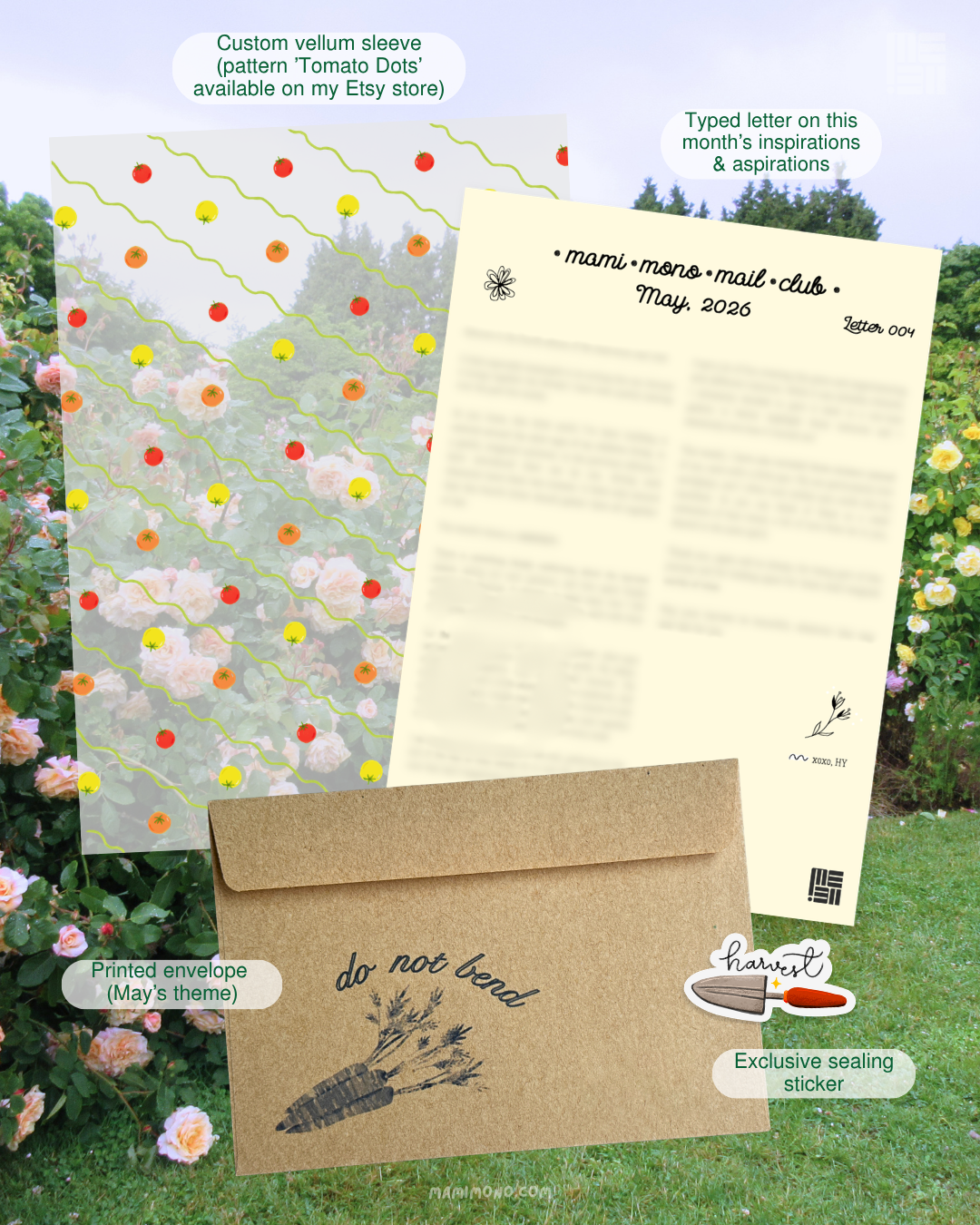 Monthly Snail Mail Club