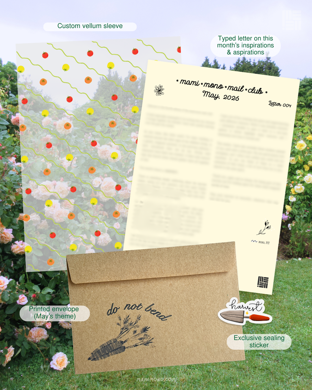 Monthly Snail Mail Club