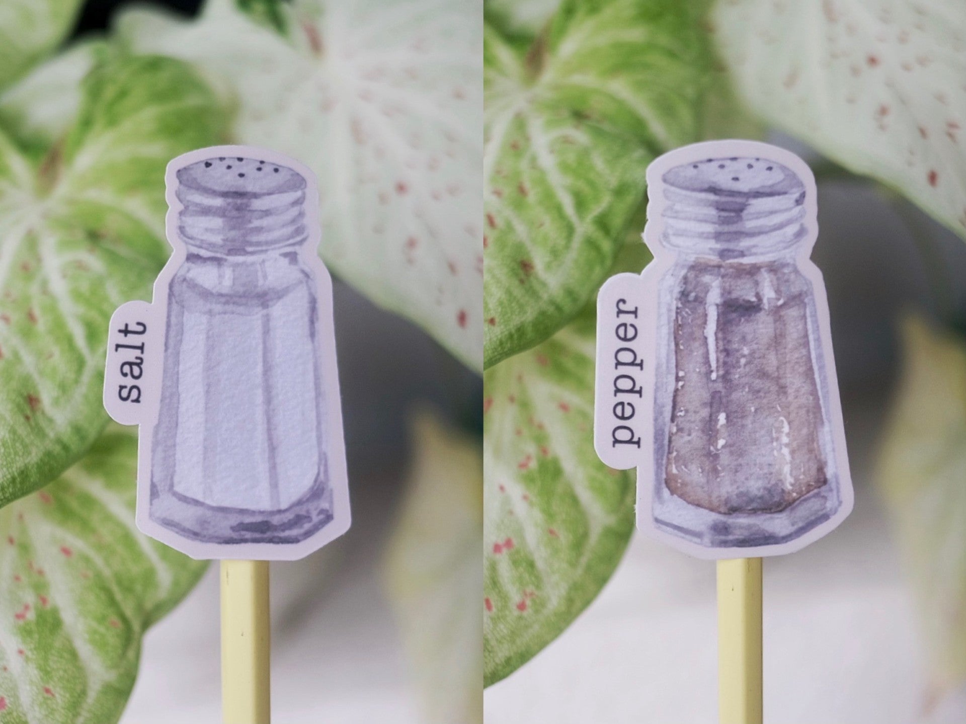 Salt & Pepper Stickers